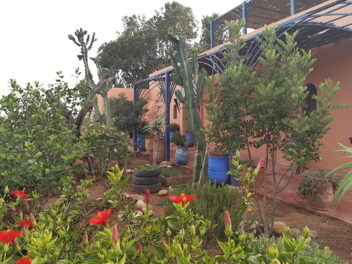 Riad Douar Des Oliviers El Arba Luaran gambar